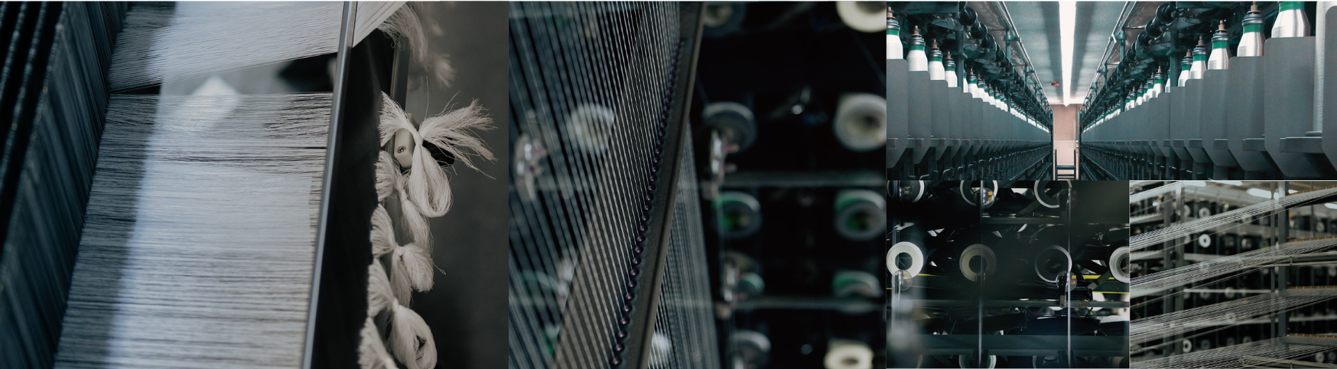 株式会社ソフィーナ